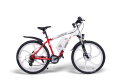 Elbike Rapid Elite