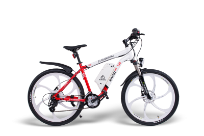 Elbike Rapid Elite
