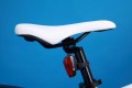 Elbike Rapid Elite 5